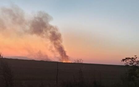 Incendiu Vegetatie