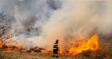 Incendiu Vegetatie Ialomita