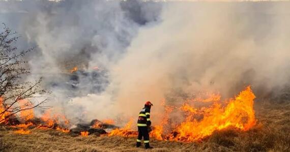 Incendiu Vegetatie Ialomita