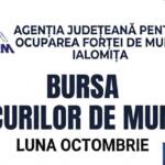 Bursa Locurilor De Munca - Ialomita