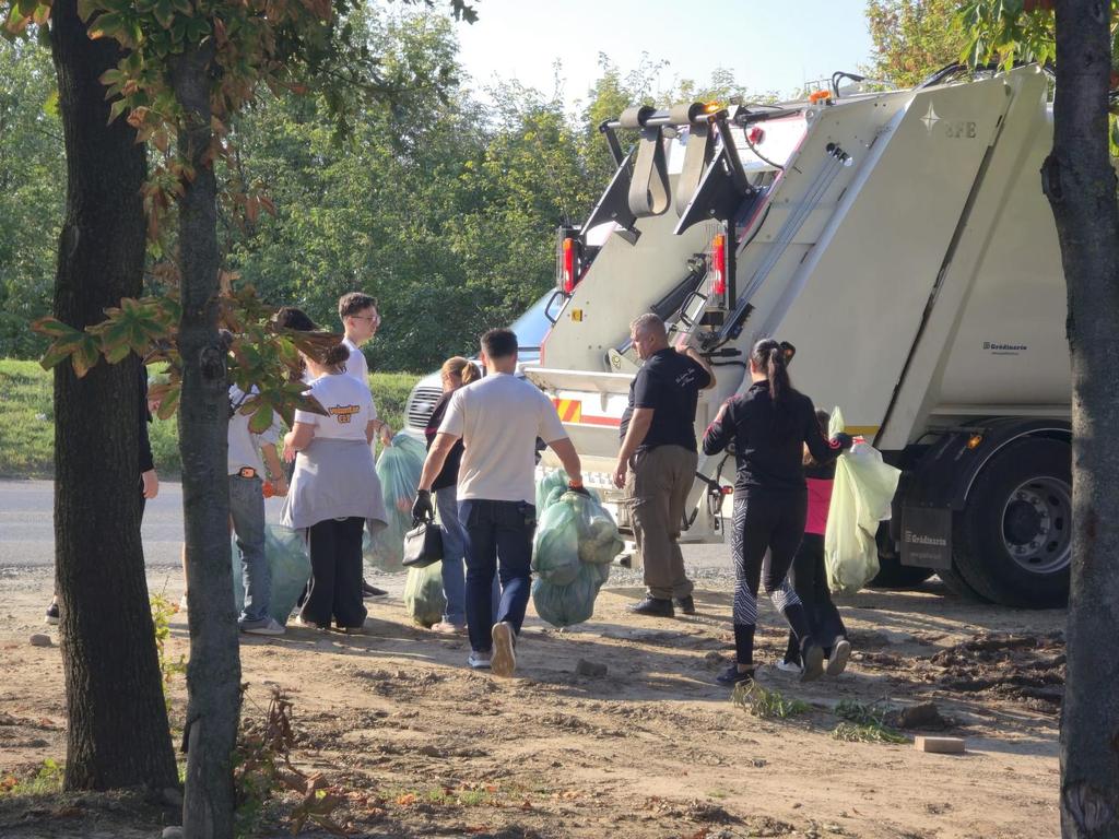Ziua Curateniei 10