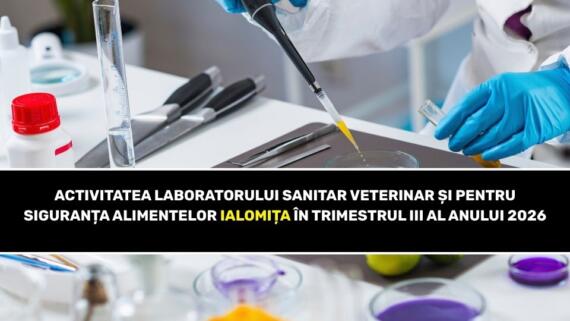Activitate Lsvsa Ialomita