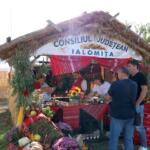 La Casa Tudorii 22