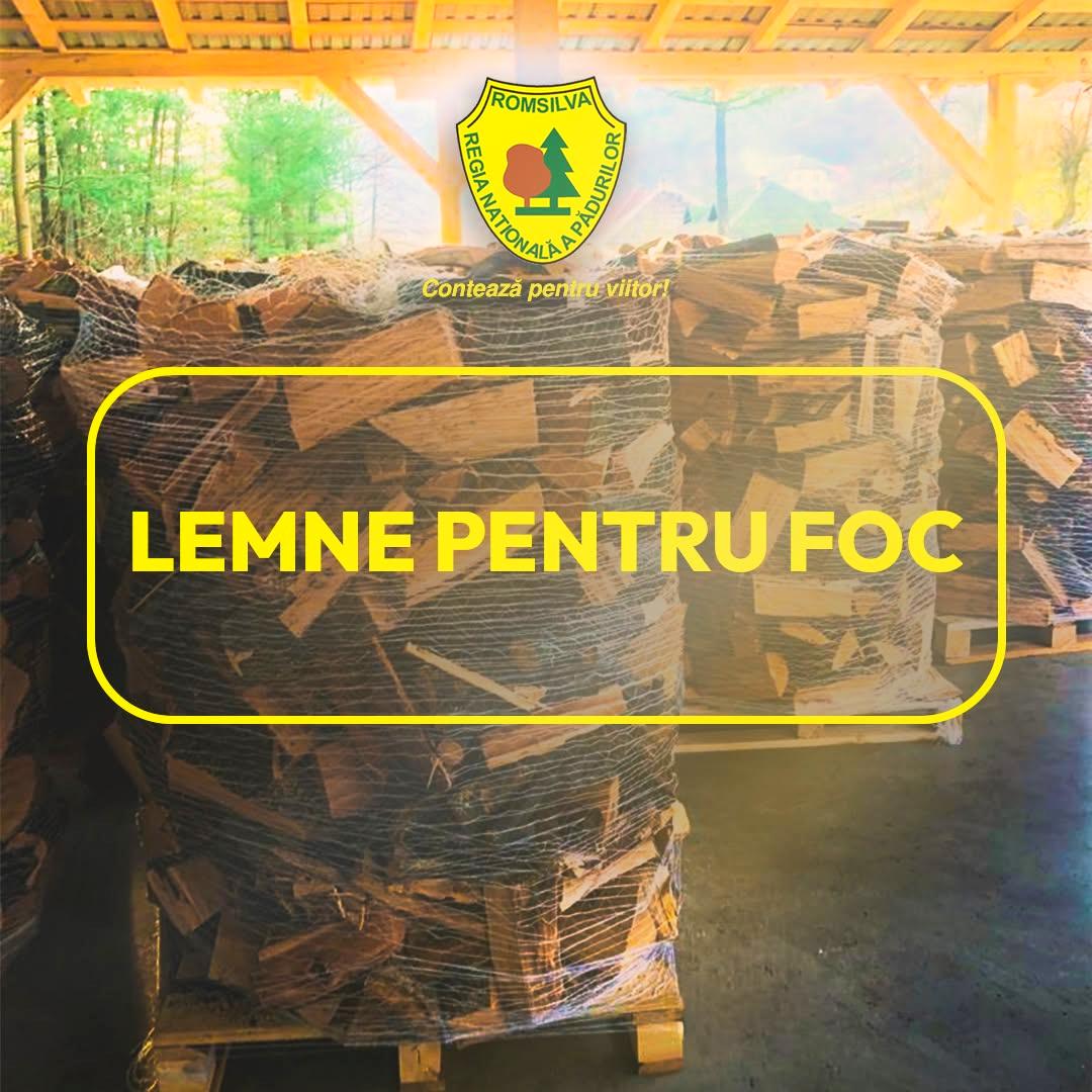 Lemne Pentru Foc