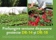 Prelungire Sesiune Dr14 Si-dr18