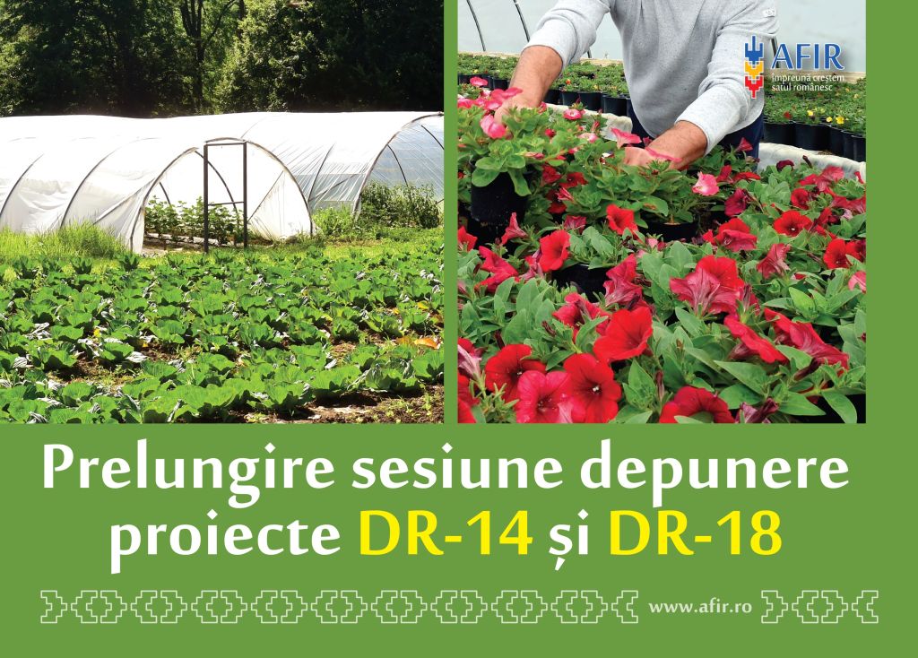 Prelungire Sesiune Dr14 Si-dr18