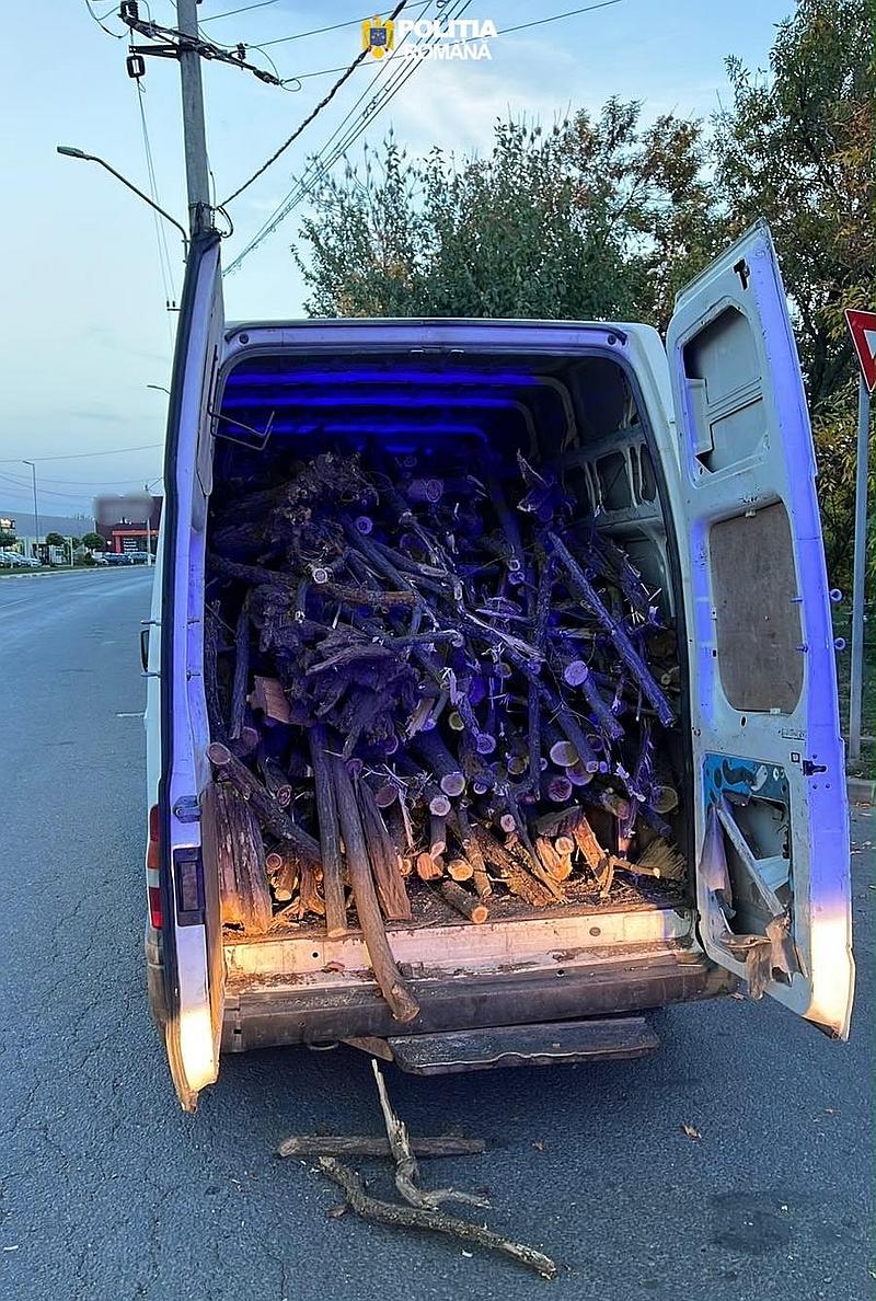 Transport Lemne