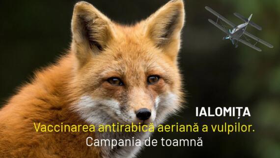 Vaccinare Vulpi