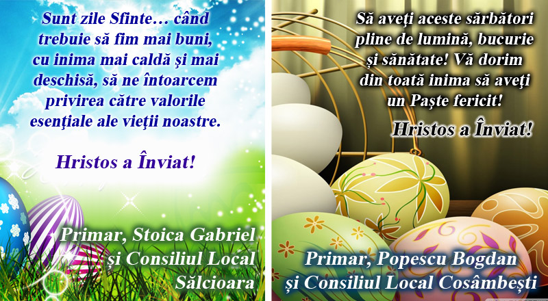 Salcioara-si-cosambesti